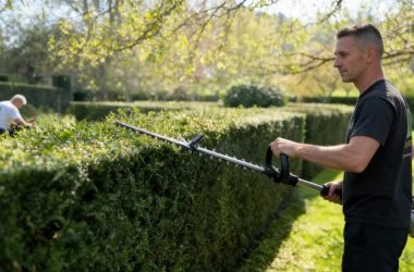 Hedge trimming