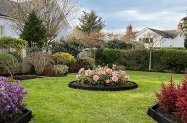 garden-maintenance-2